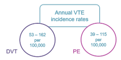 Annual VTE Rates