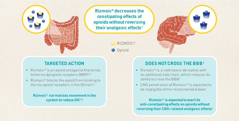 Rizmoic Benefits